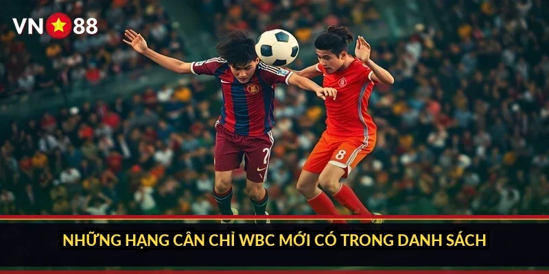 Cá cược quyền anh WBC VN88: sảnh đai xanh có gì bên trong 1 Những hạng cân chỉ WBC mới có trong danh sách